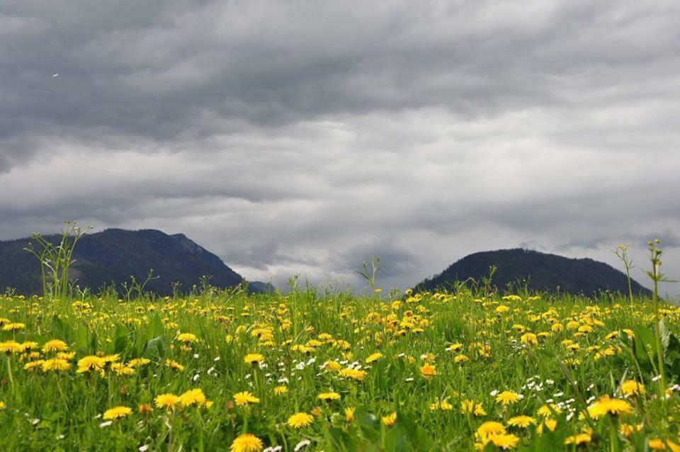 Obersdorf Greenheart Aussee מראה חיצוני תמונה